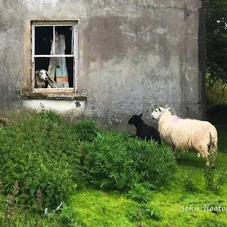 Villa Teach Eoin à Dingle Extérieur photo